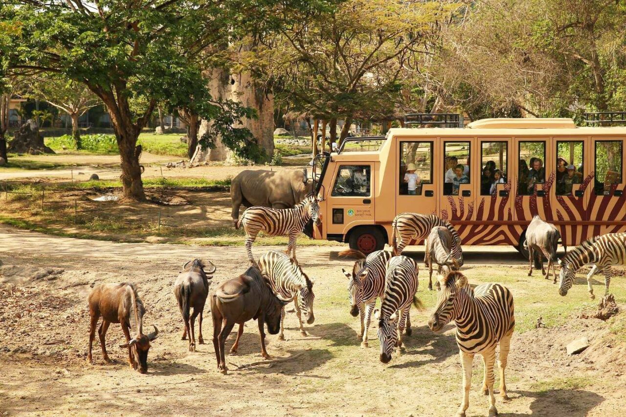 bali safari park entrance fee