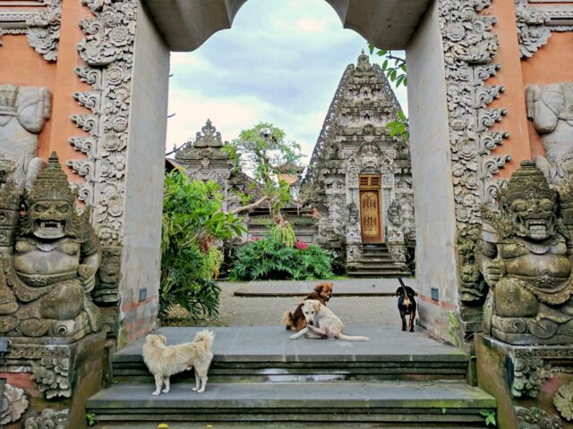 ornament and statues in ubud royal palace