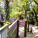 Ullen Sentalu Museum