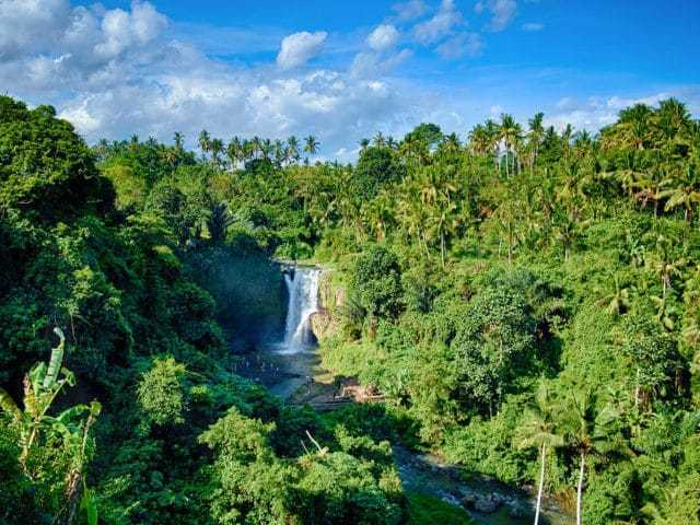 Air Terjun Tegenungan Air Terjun Tegenungan