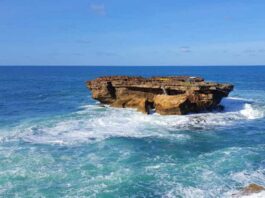 Pantai Parangtritis Beragam Aktivitas Seru Idetrips