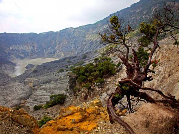 Tangkuban Perahu Cliff