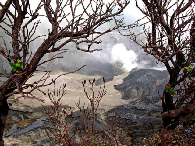 Tangkuban Perahu Bandung Tangkuban Parahu and The Death Trees