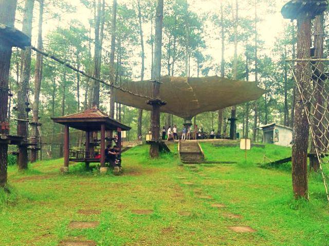 Bandung Treetop Adventure Park 3 bandung tree top adventure park