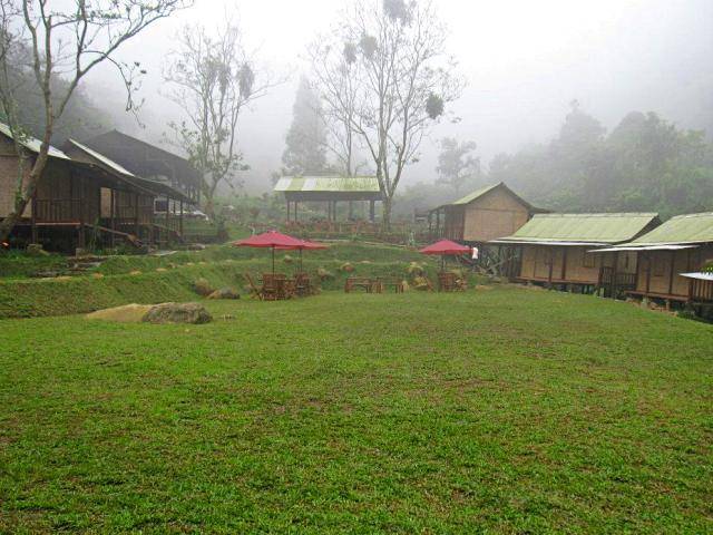 D'jungle Private Camp D'jungle Private Camp