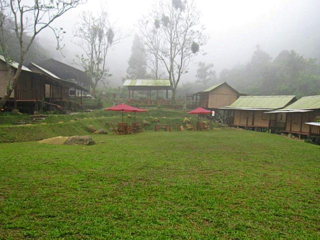 D'jungle Private Camp