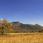 Baluran National Park, The Savanna