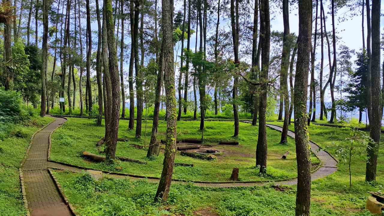 Taman Hutan Raya, Tahura Park 