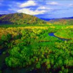 Meru Betiri National Park