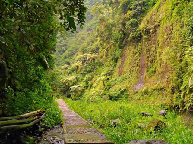 trail to madakaripura waterfall