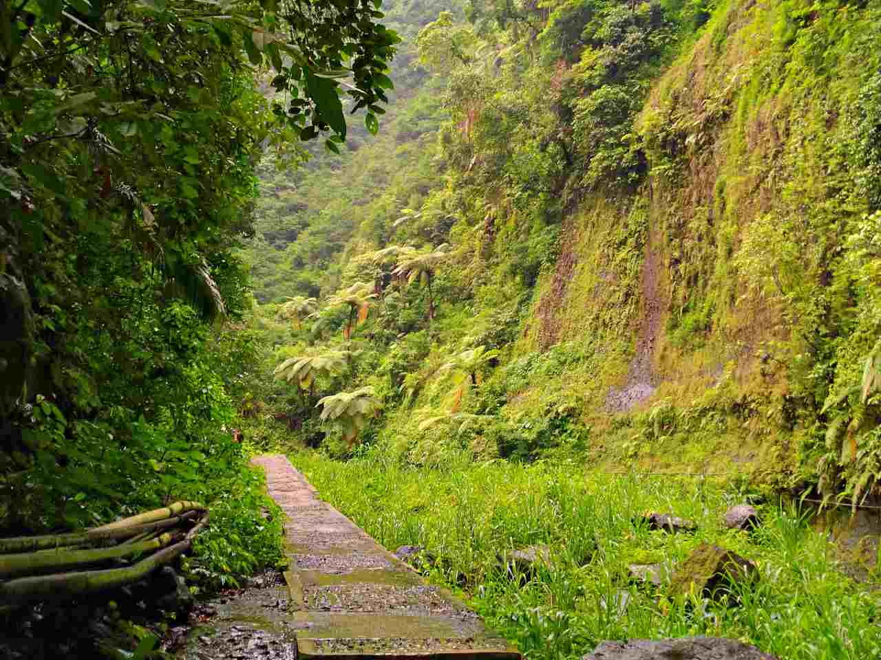 trail to madakaripura waterfall 