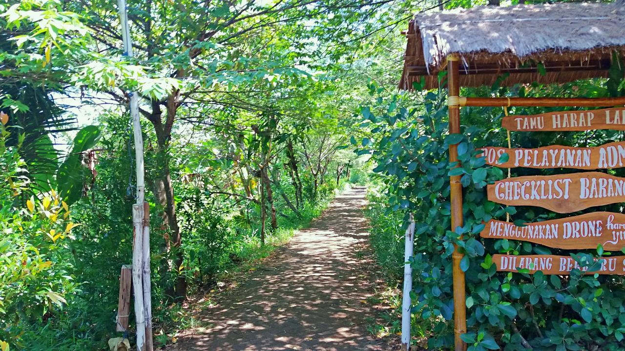 Trekking Path to three colors beach