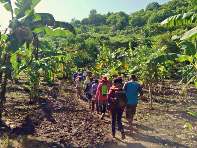 Trekking path to the beach