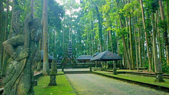 Sangeh Monkey Forest Temple Entrance Fee Idetrips