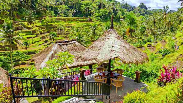 Tegalalang Rice Terrace
