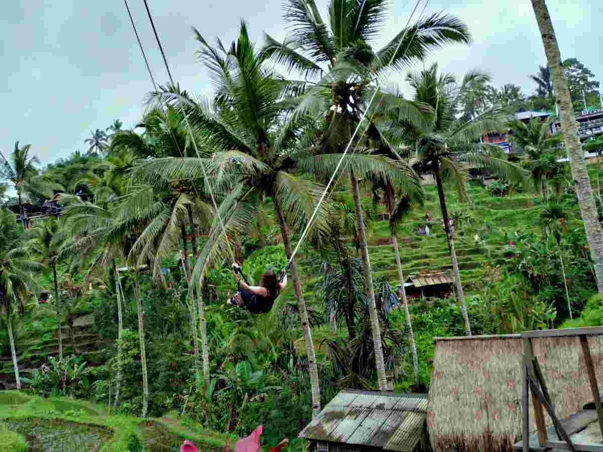 swing attraction in tegalalang
