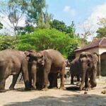 Gembira Loka Zoo Yogyakarta