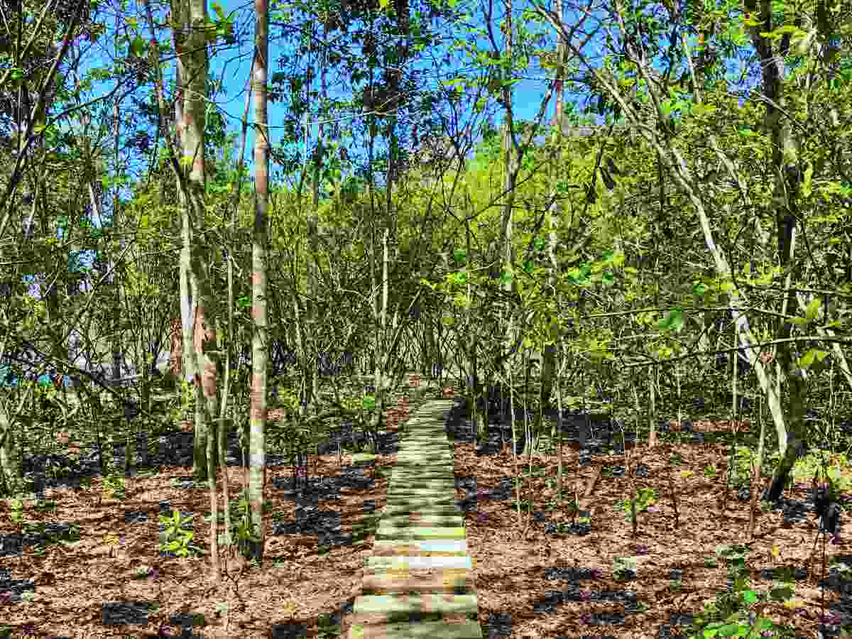 2 km trekking path to green bay beach