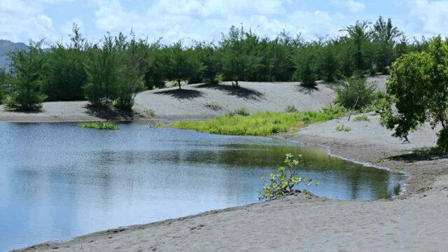 Gumuk Pasir Parangkusumo