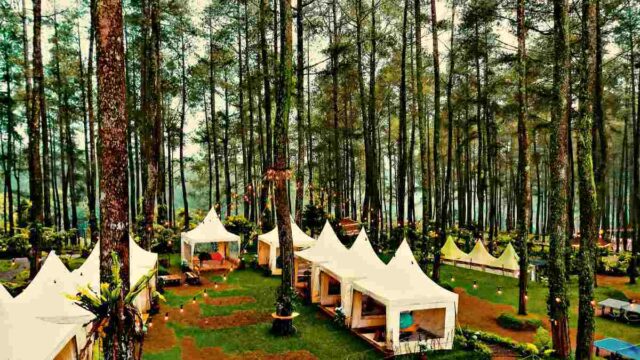 Camping venue