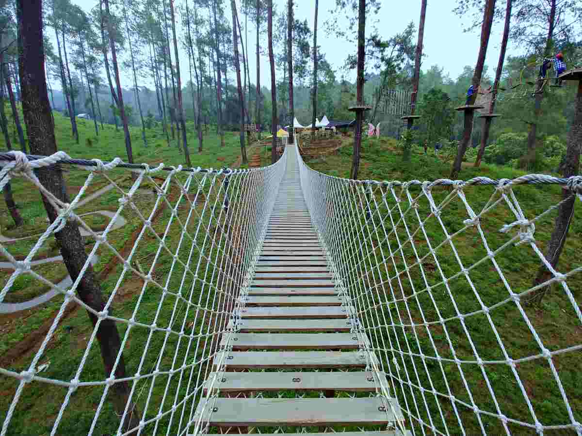 sky bridge orchid forest cikole