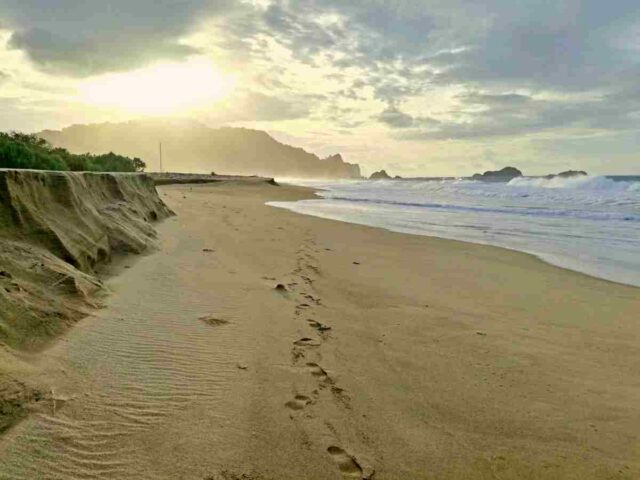 sukamade white sand beach