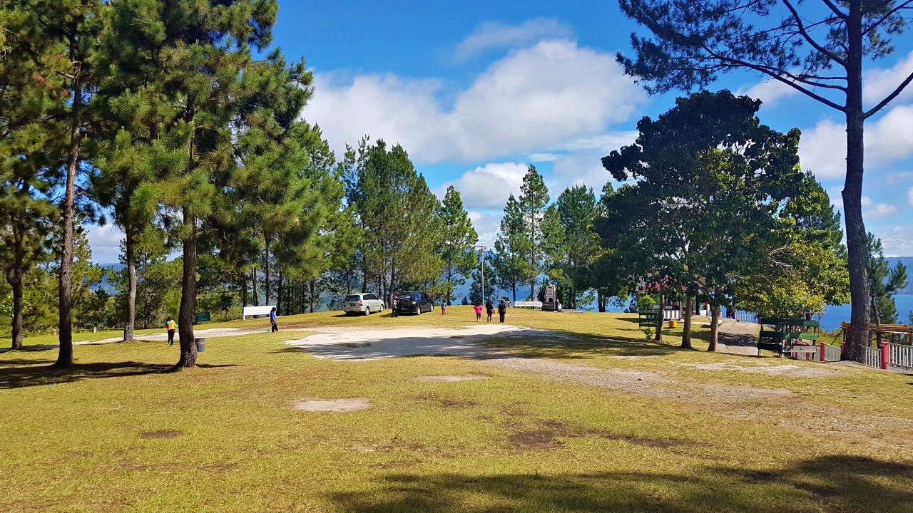 Sipinsur pine forest 