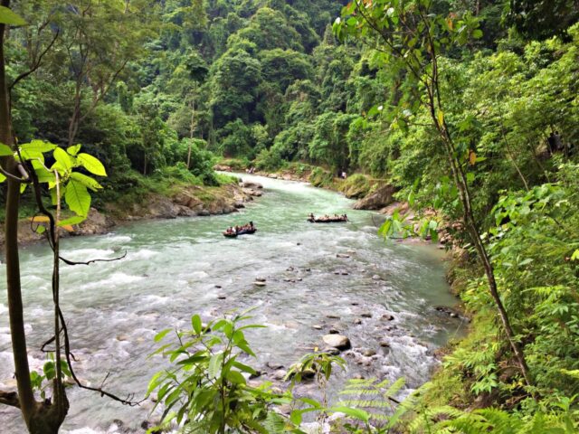 Bukit Lawang Ecovillage, Trekking & Outdoor Activities - IdeTrips