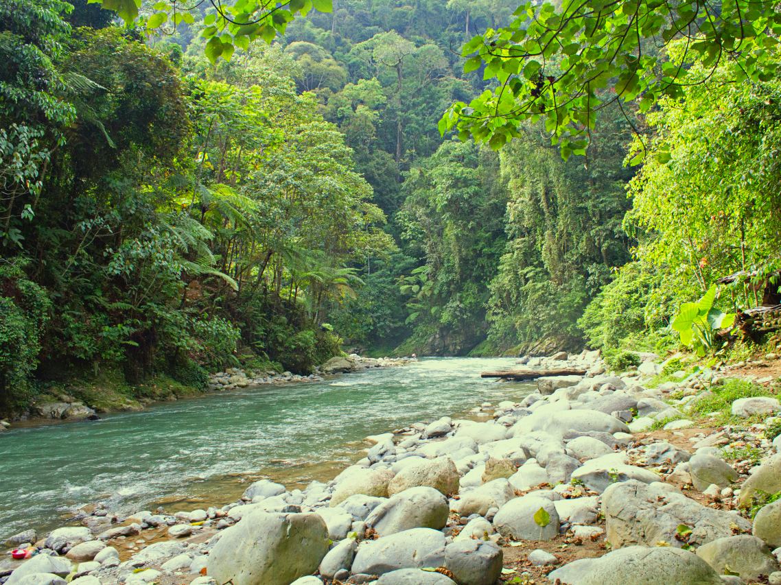 Bohorok river