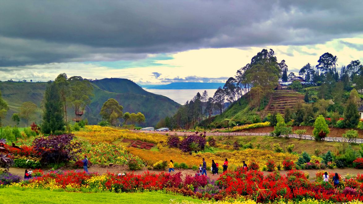 Sapo Juma Flower Garden 