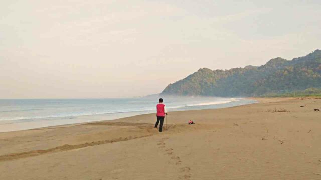 sukamade long shore