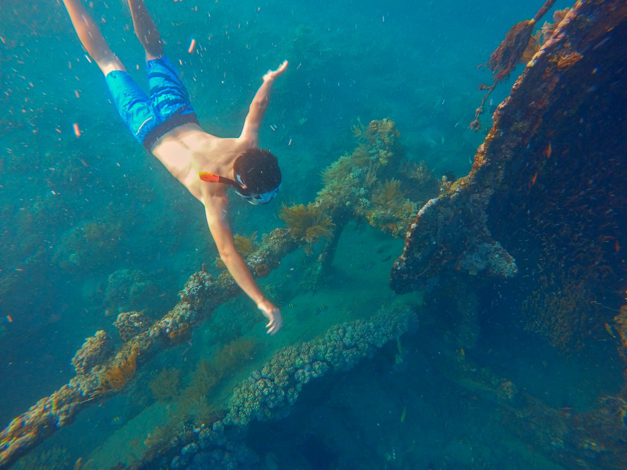 Japanese Shipwreck Amed Beach