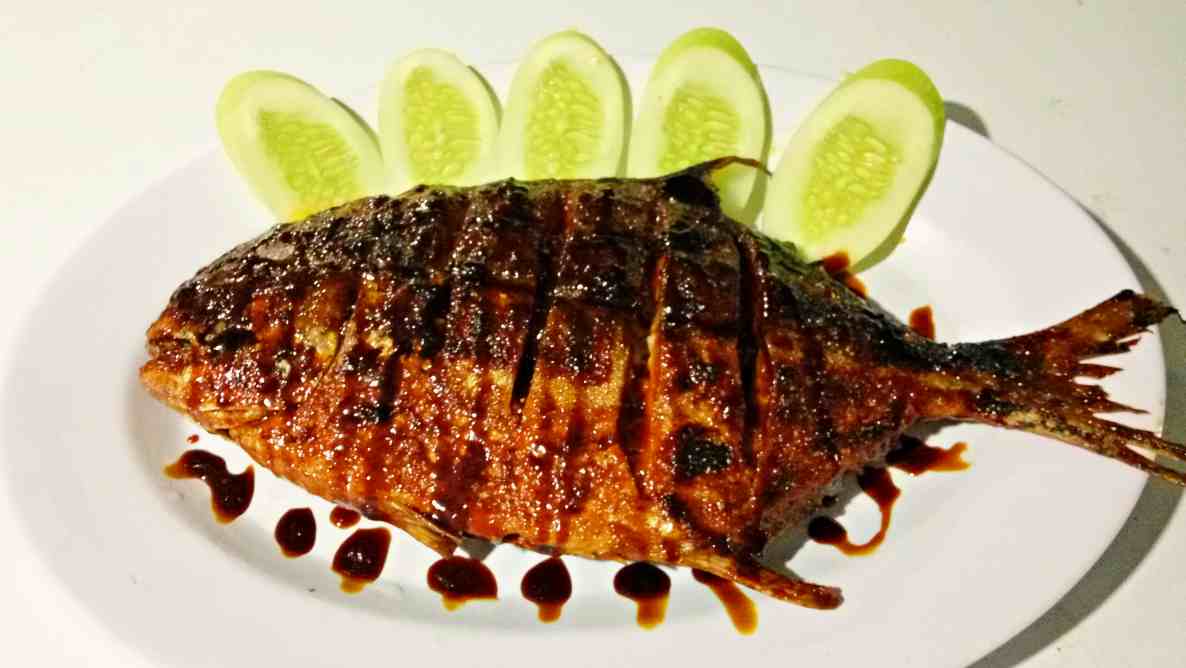 fresh grilled fish