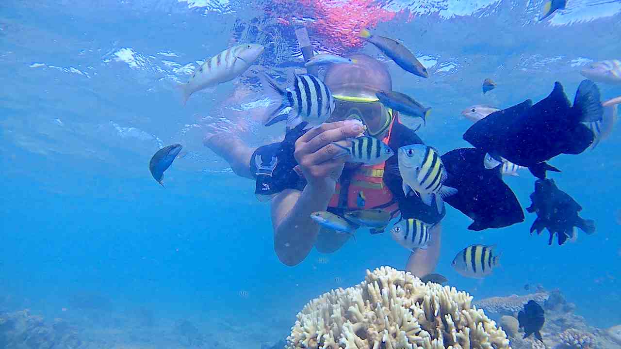 bulu babi snorkeling spot