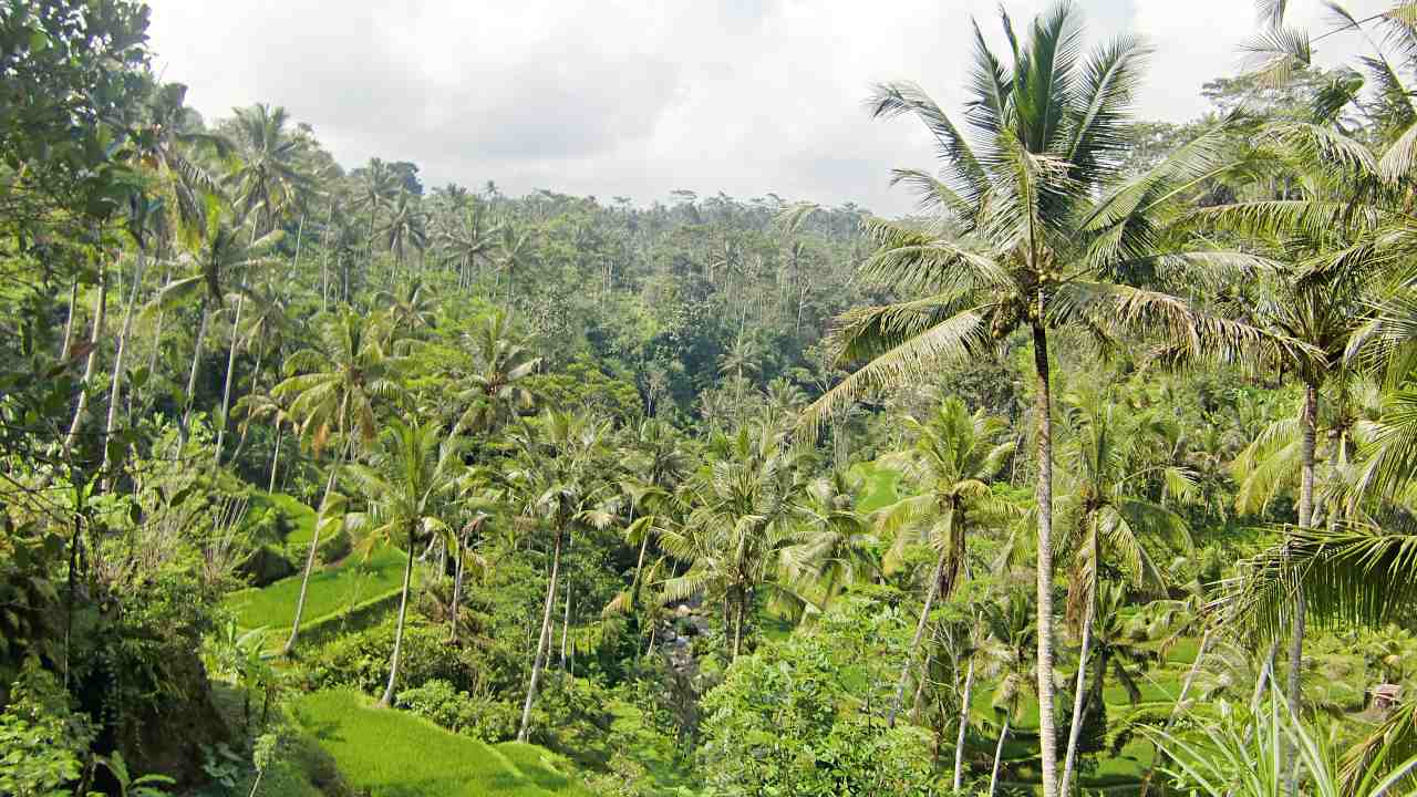 gunung kawi temple 