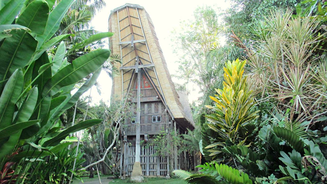 bali bird park owls house