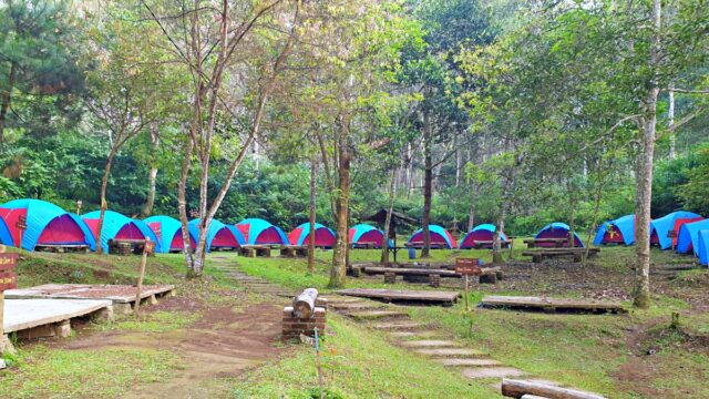Camping site 