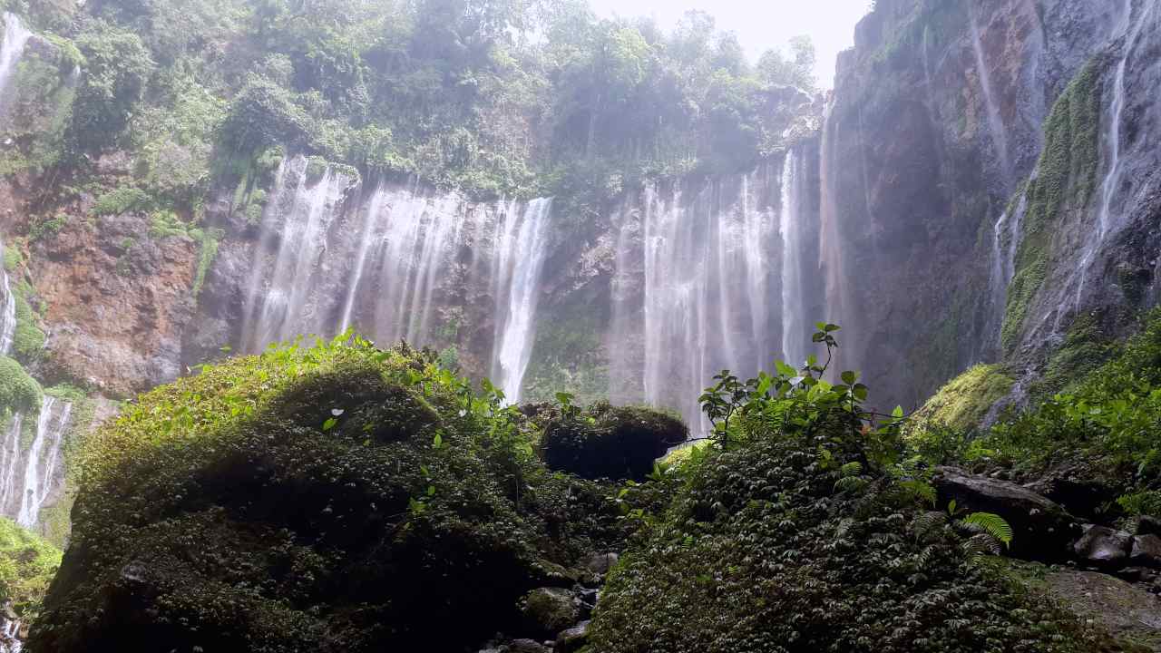 Sewu valley 