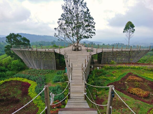 teras bintang rancabali