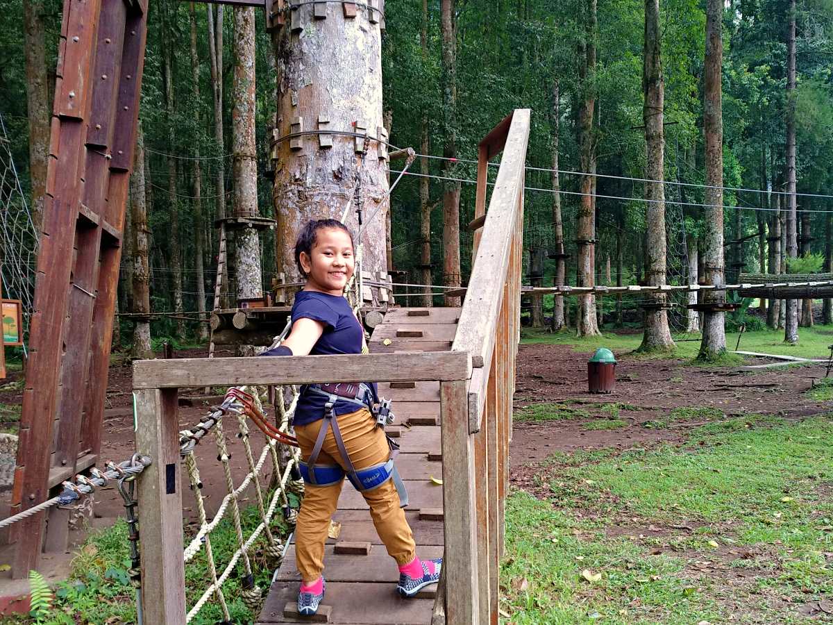 treetop adventure park