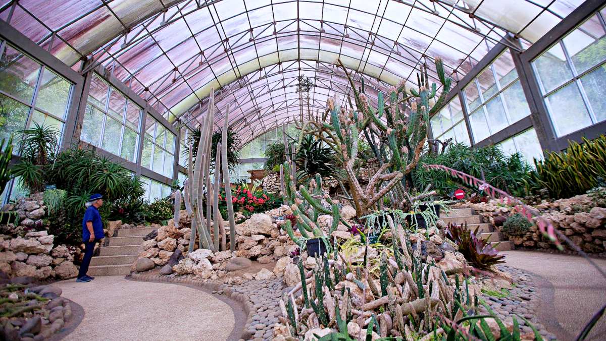 cactus dome at bali botanic garden