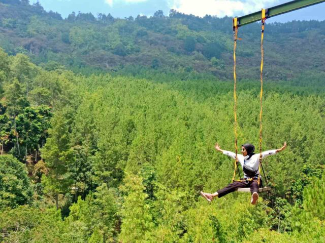 swing with mountain view