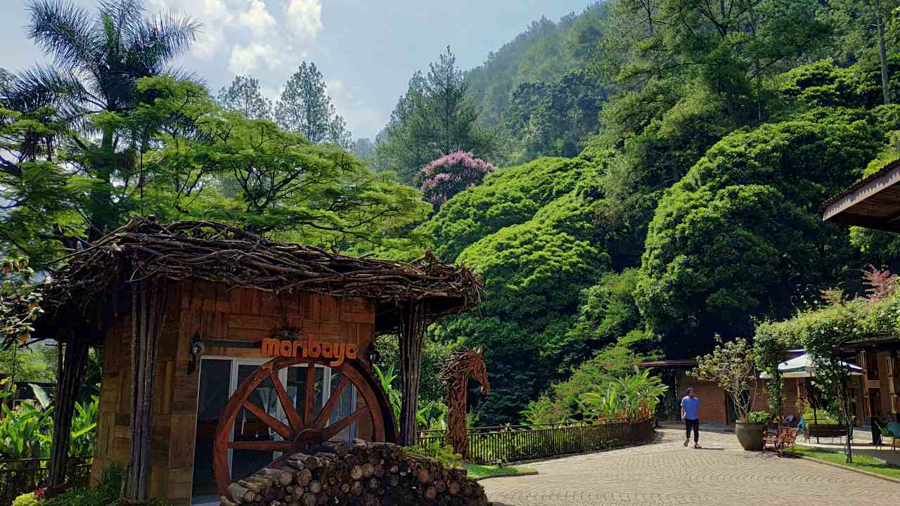 Maribaya vast green trees 