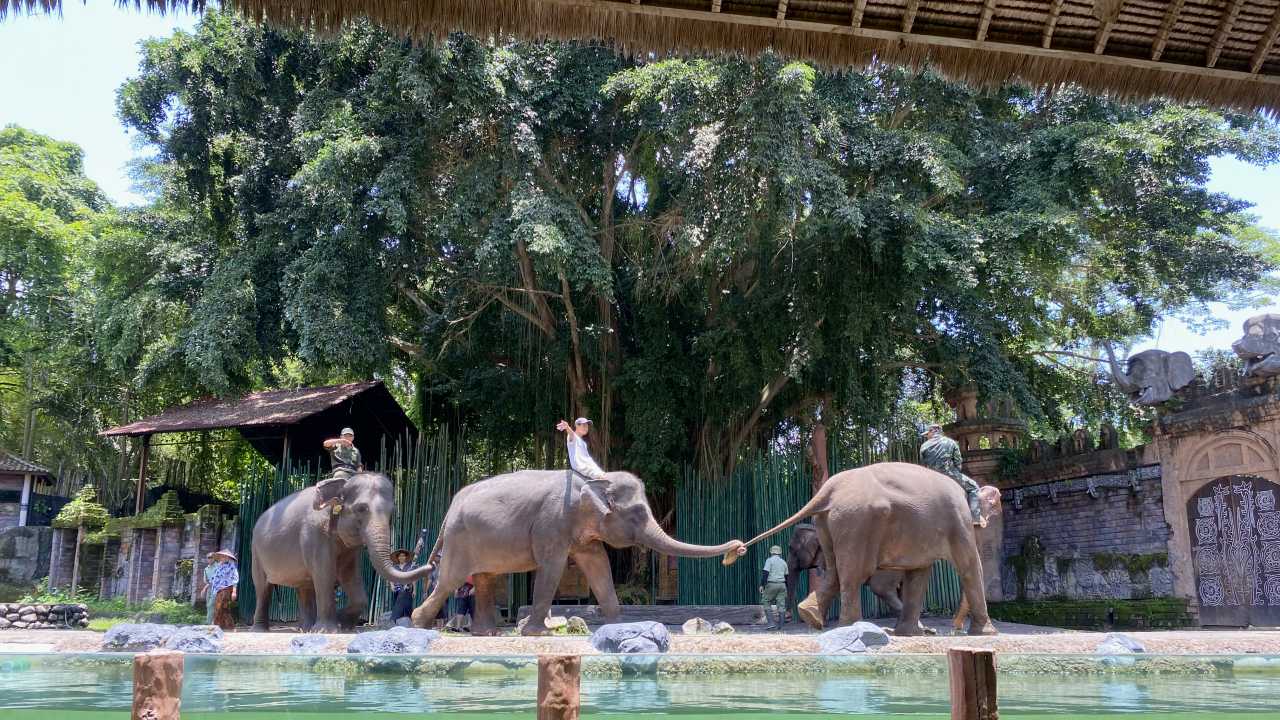 elephants show bali safari marine park 