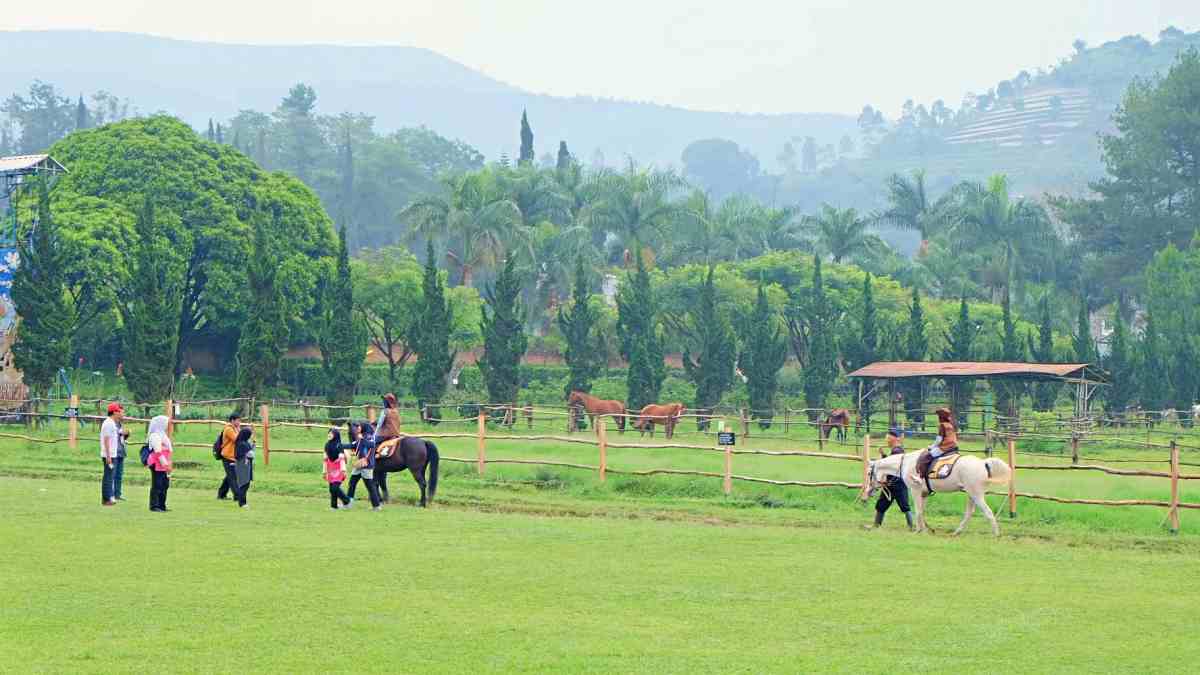 horse riding