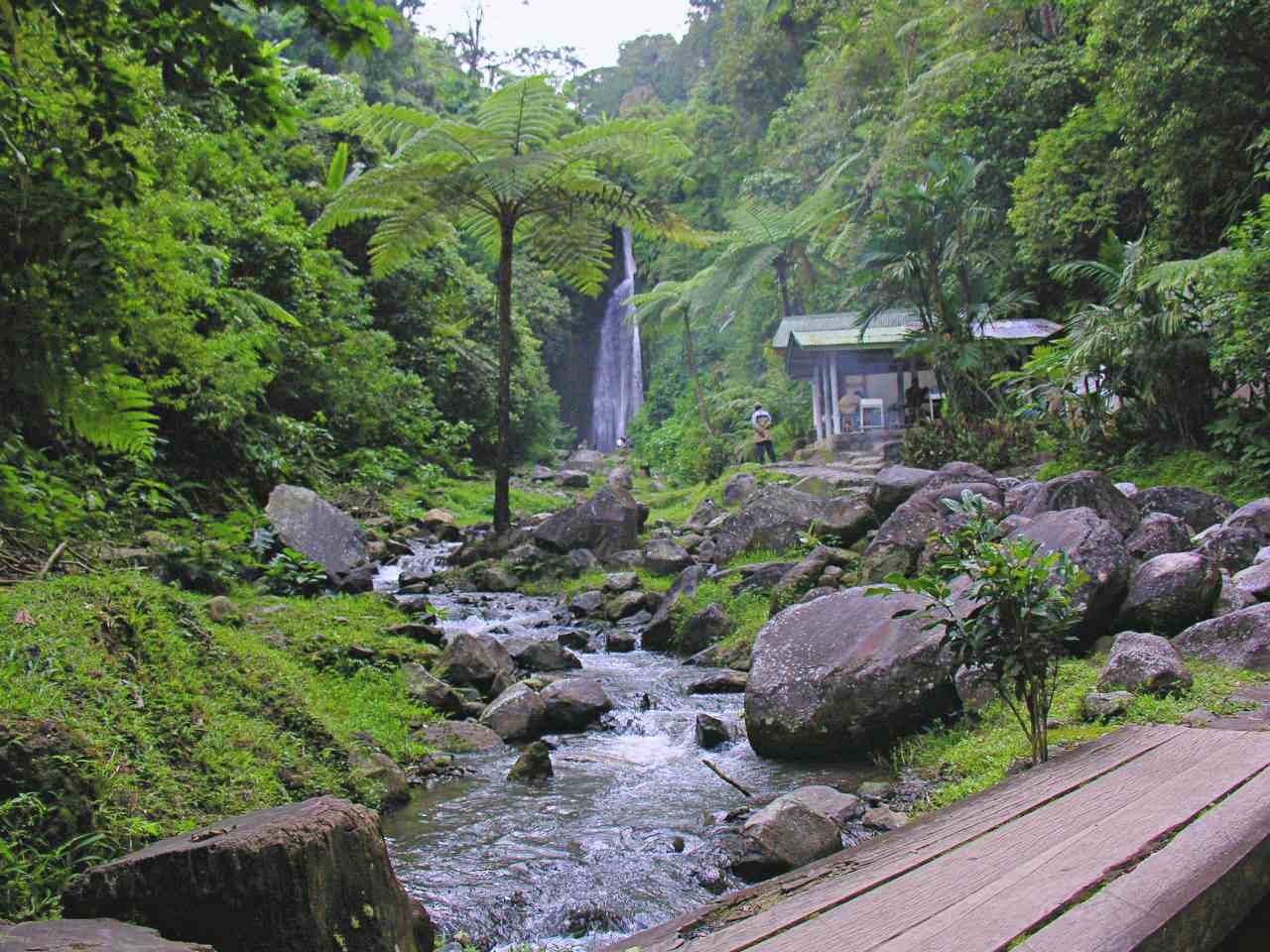 ciismun waterfall in cibodas botanical garden