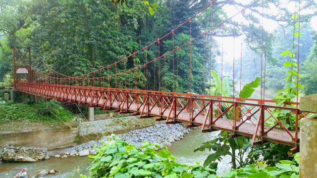 Bogor Botanical Gardens, Guide & Entrance Ticket - IdeTrips