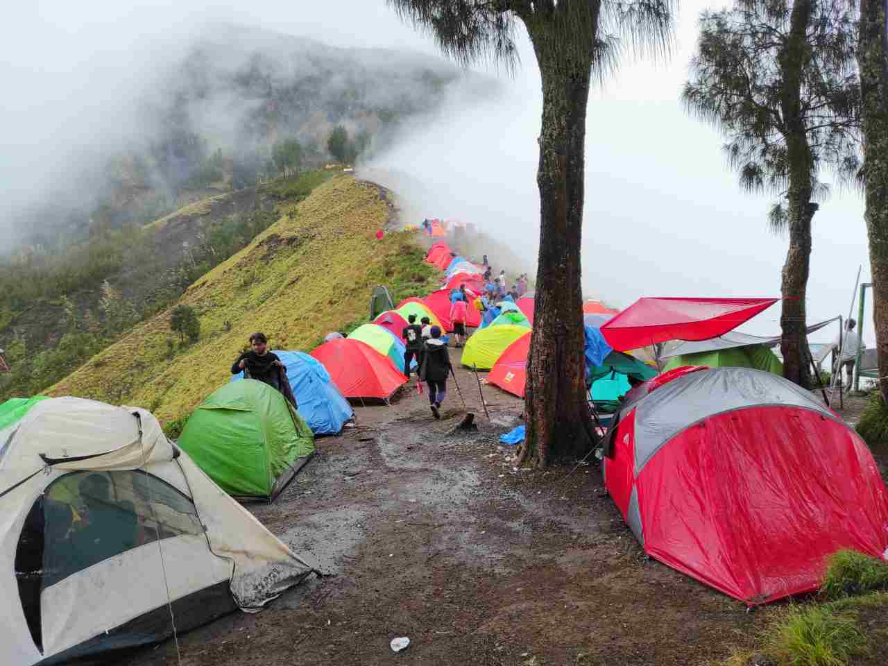 pelawangan camp site 