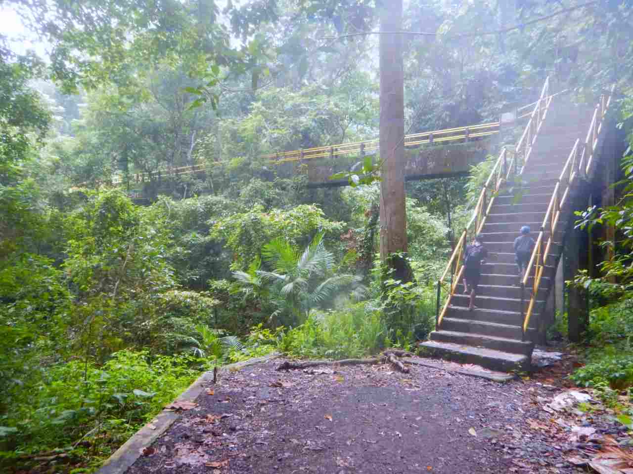 path to sendang gile waterfall 