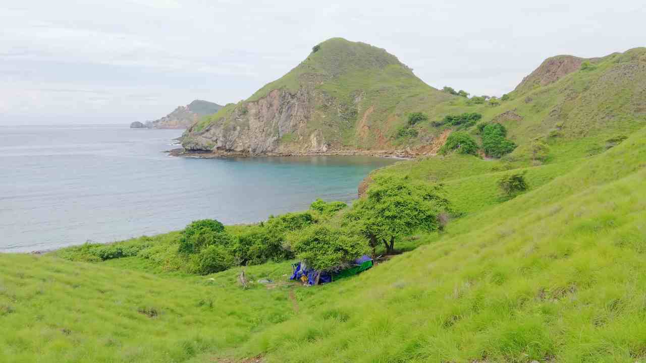 camping in komodo national park 